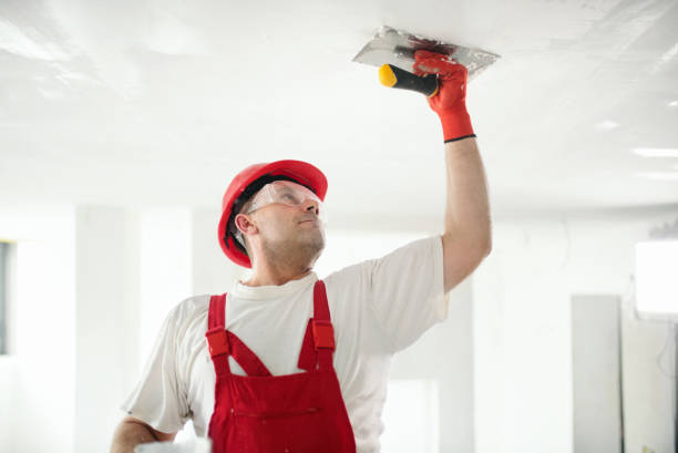 Best Drywall Installation  in Carbondale, CO